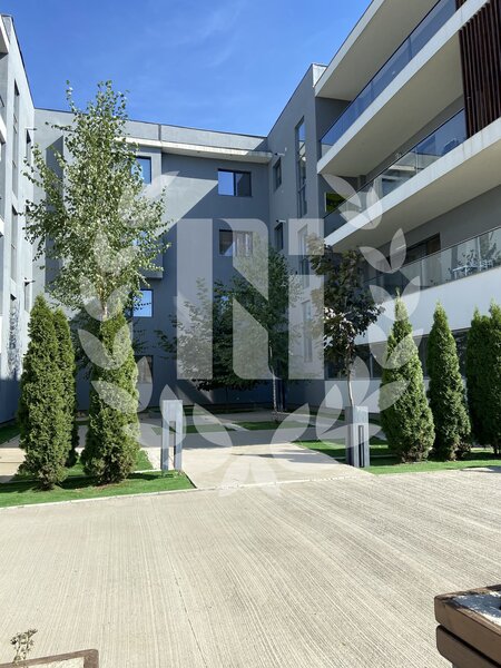 Padurea Cernica, apartament 3 camere.